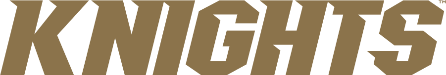 Central Florida Knights 2016-2017 Wordmark Logo t shirts iron on transfers